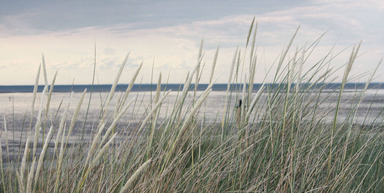 View of Heacham Beach